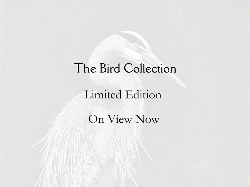 The Bird Collection