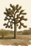 Illustration of a Joshua tree in a California desert landscape with mountains in the background. Blank notecard by dhdesignsart.com.