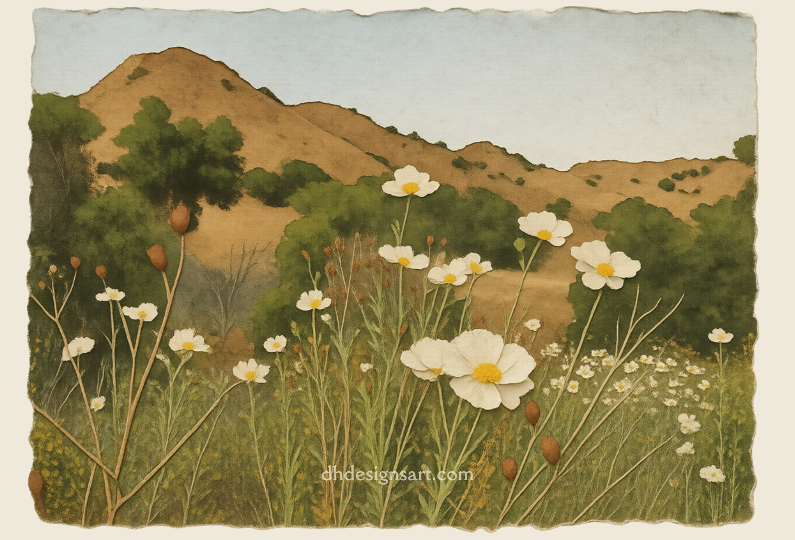 Blank notecard with a depiction of a California landscape with white Matilija poppy flowers and hills in the background. dhdesignsart.com