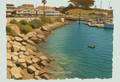 Coastal scene with rocky shore, a otter floating, and oceanside businesses in the background. Blank notecard by dhdesignsart.com.