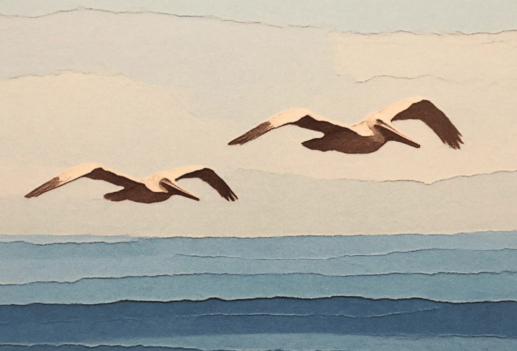 Pelicans Blank Notecard