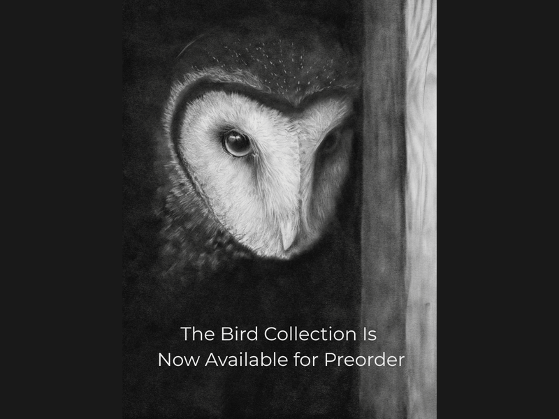 The Bird Collection.                                             Preorder by October 1.