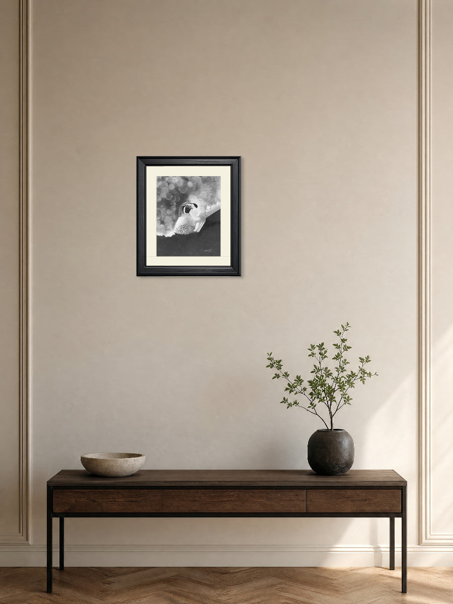 California Dreaming - Quail in Graphite