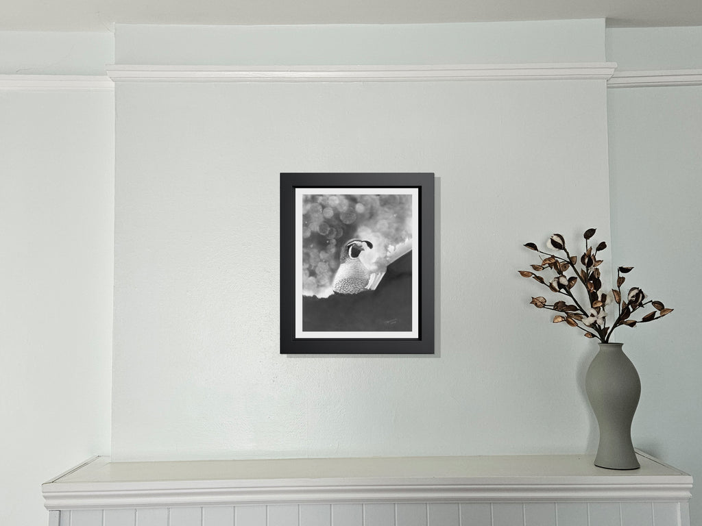 California Dreaming - Quail in Graphite