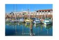 Boats in the Harbor — Photography Print