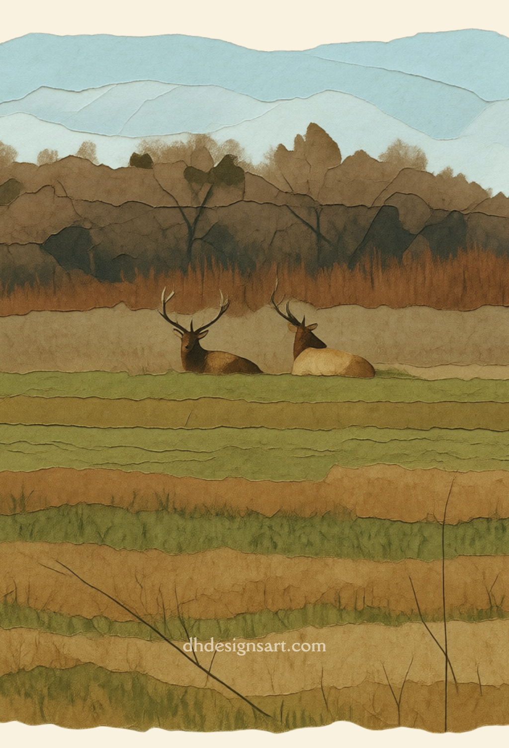 Two Tulle Elk in a field at the San Luis Reserve with mountains in the background, blank notecard, dhdesignsart.com.