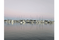 A calm marina scene with many white boats and sailboats docked at the edge, their masts rising above the water under a soft pink and gray sky. The still water reflects the boats and sky.