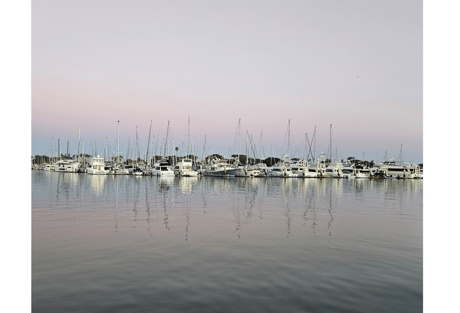 A calm marina scene with many white boats and sailboats docked at the edge, their masts rising above the water under a soft pink and gray sky. The still water reflects the boats and sky.