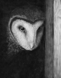 Prudence the Barn Owl - Available Now for Preorder