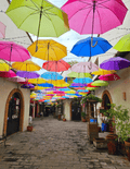 A narrow cobblestone marketplace in Mexico, covered with many brightly colored umbrellas hanging overhead in pink, yellow, blue, green, purple, orange, and red, with cream-colored buildings and potted plants lining the walkway.
