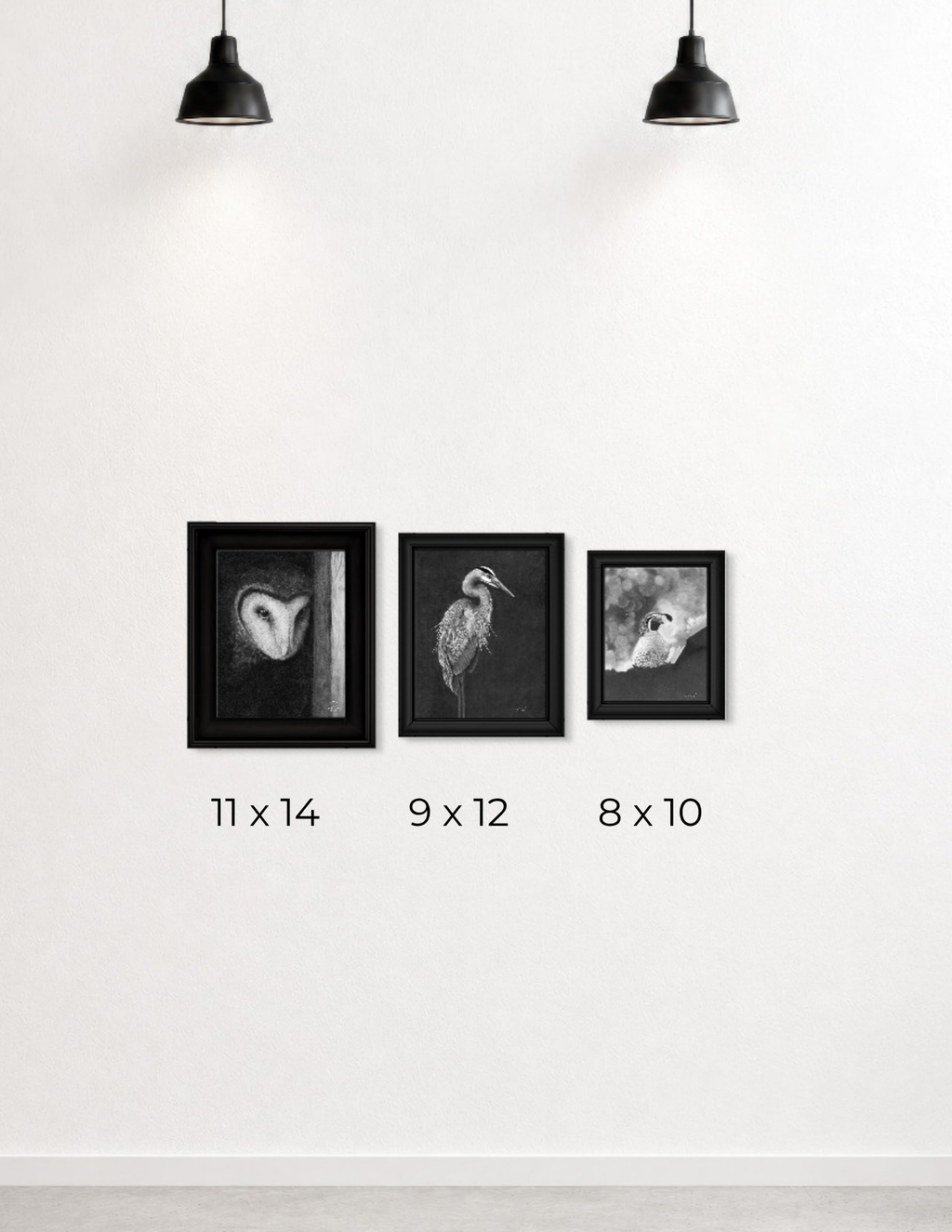 Three framed black-and-white animal wall art prints displayed on a white wall under two black pendant lights, with size labels below each frame reading 11 x 14, 9 x 12, and 8 x 10.