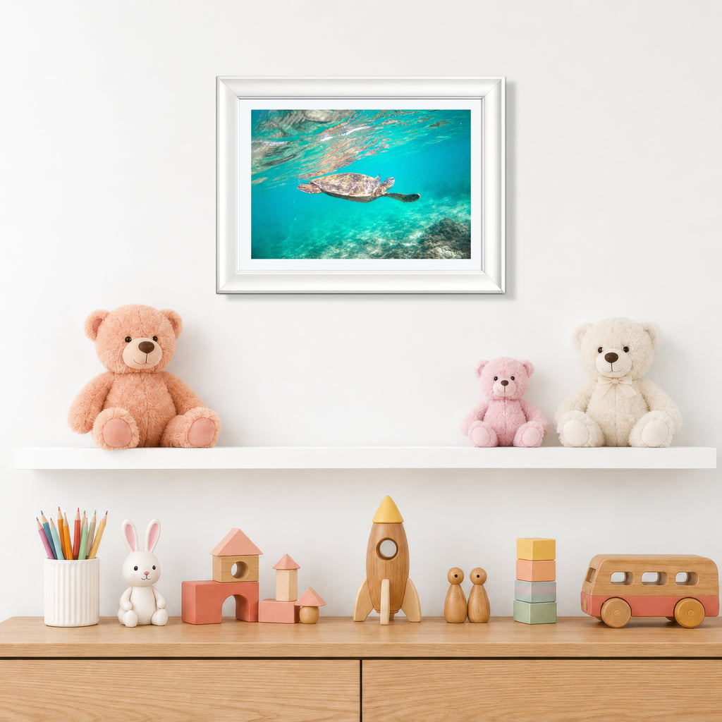 Green Sea Turtle — Photography Print