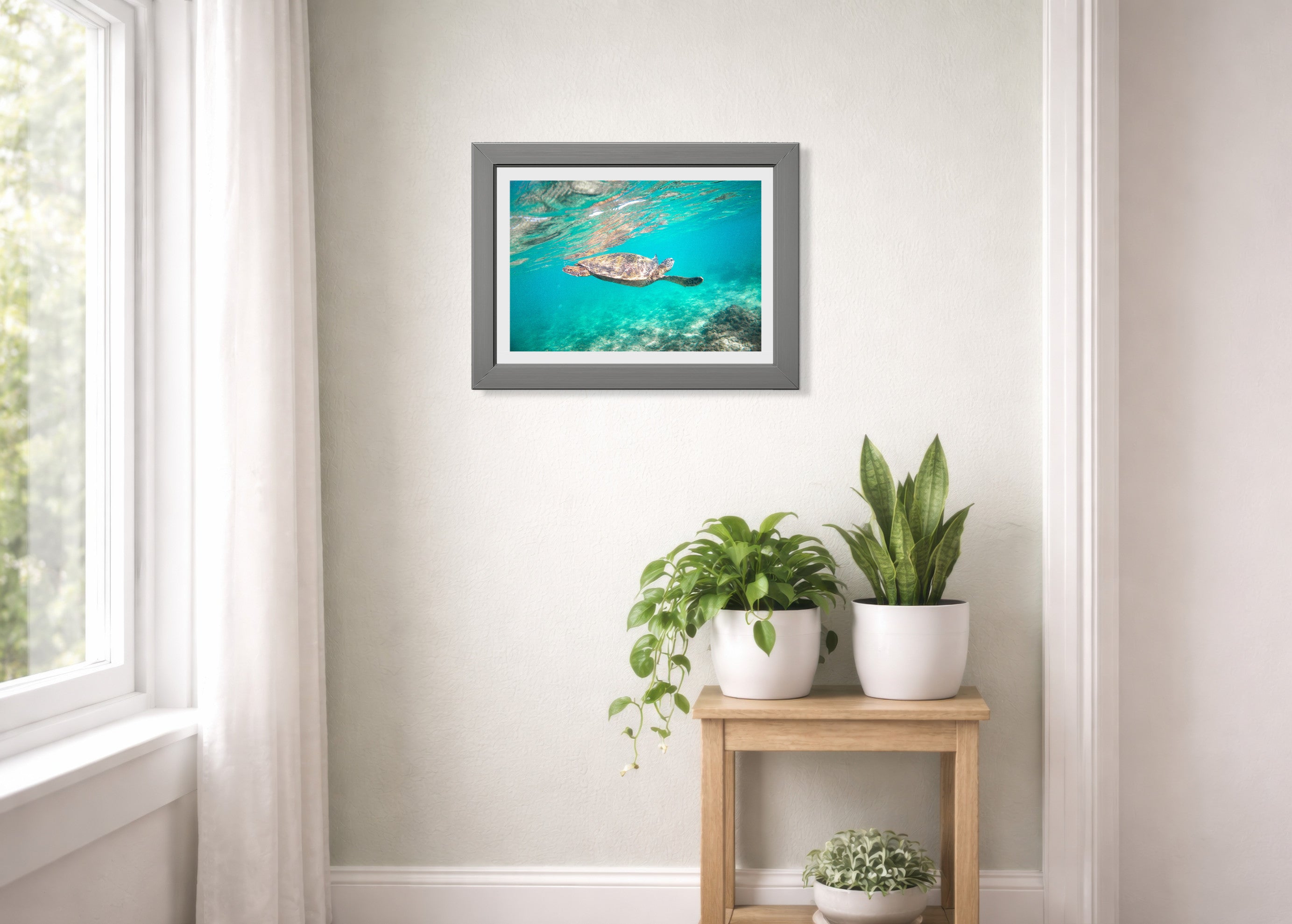 Green Sea Turtle — Photography Print