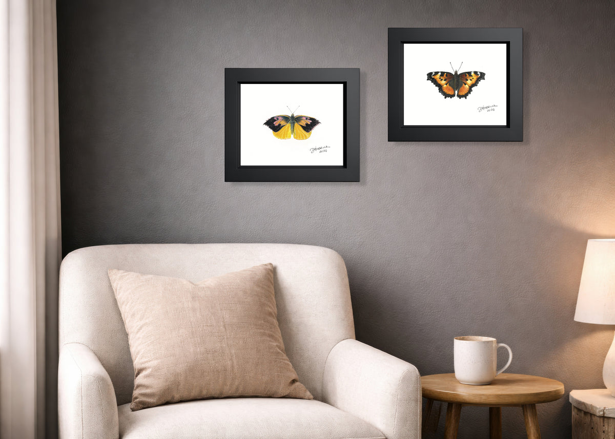 California Tortoiseshell — Nymphalid Print